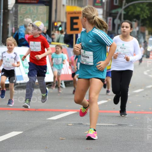 21.09.2025 - PSD Bank Halbmarathon Strokosch-Dieckow http://msf.ph/oto/8942776 21.09.2025 10:32:22 Ziel 130, 133, 159, 173, 238, 273, 282, 312, 364, 368, 372, 429 meine-sportfotos.de