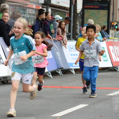 21.09.2025 - PSD Bank Halbmarathon Strokosch-Dieckow http://msf.ph/oto/8942782 21.09.2025 10:32:27 Ziel 130, 133, 159, 173, 238, 273, 282, 312, 364, 372, 429 meine-sportfotos.de