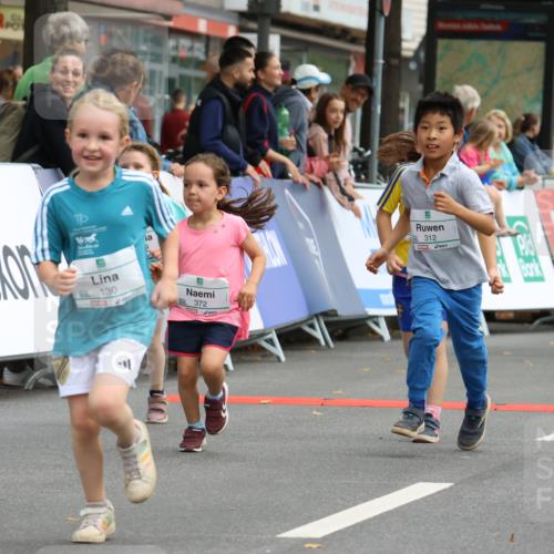 21.09.2025 - PSD Bank Halbmarathon Strokosch-Dieckow http://msf.ph/oto/8942786 21.09.2025 10:32:27 Ziel 130, 133, 159, 173, 238, 273, 282, 312, 364, 372, 429 meine-sportfotos.de