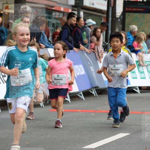 21.09.2025 - PSD Bank Halbmarathon Strokosch-Dieckow http://msf.ph/oto/8942792 21.09.2025 10:32:28 Ziel 130, 133, 159, 173, 238, 273, 282, 312, 364, 372, 429 meine-sportfotos.de