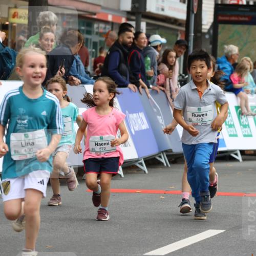 21.09.2025 - PSD Bank Halbmarathon Strokosch-Dieckow http://msf.ph/oto/8942794 21.09.2025 10:32:28 Ziel 130, 133, 159, 173, 238, 273, 282, 312, 364, 372, 429 meine-sportfotos.de