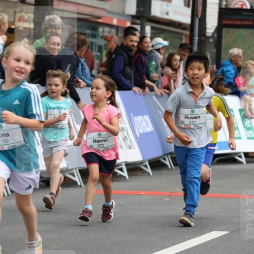 21.09.2025 - PSD Bank Halbmarathon Strokosch-Dieckow http://msf.ph/oto/8942798 21.09.2025 10:32:28 Ziel 130, 133, 159, 173, 238, 273, 282, 312, 364, 372, 429 meine-sportfotos.de