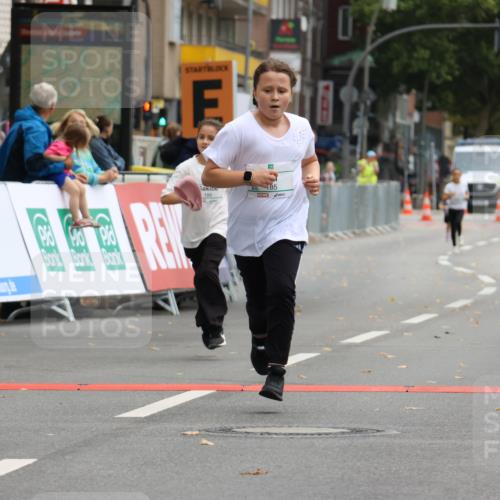 21.09.2025 - PSD Bank Halbmarathon Strokosch-Dieckow http://msf.ph/oto/8942937 21.09.2025 10:33:47 Ziel 185, 186, 308 meine-sportfotos.de