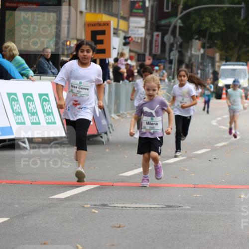 21.09.2025 - PSD Bank Halbmarathon Strokosch-Dieckow http://msf.ph/oto/8942970 21.09.2025 10:34:16 Ziel 180, 181, 188, 280 meine-sportfotos.de