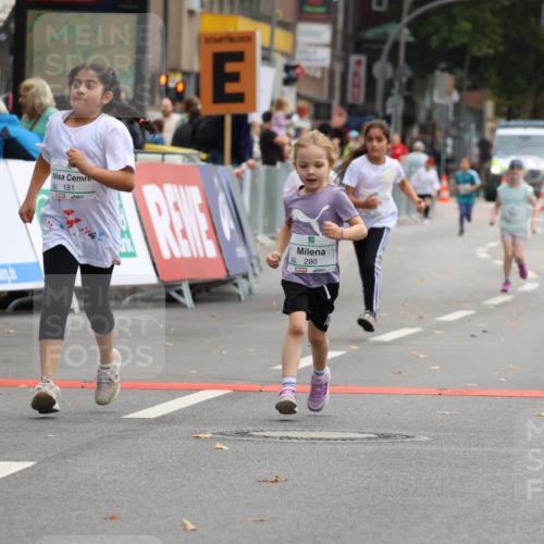 21.09.2025 - PSD Bank Halbmarathon Strokosch-Dieckow http://msf.ph/oto/8942983 21.09.2025 10:34:17 Ziel 180, 181, 188, 280 meine-sportfotos.de