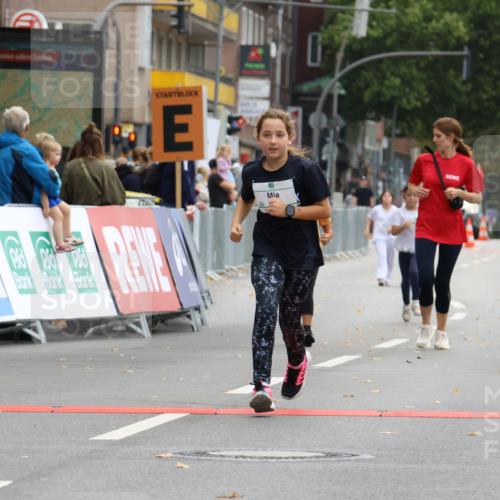 21.09.2025 - PSD Bank Halbmarathon Strokosch-Dieckow http://msf.ph/oto/8943081 21.09.2025 10:35:47 Ziel 284, 290 meine-sportfotos.de