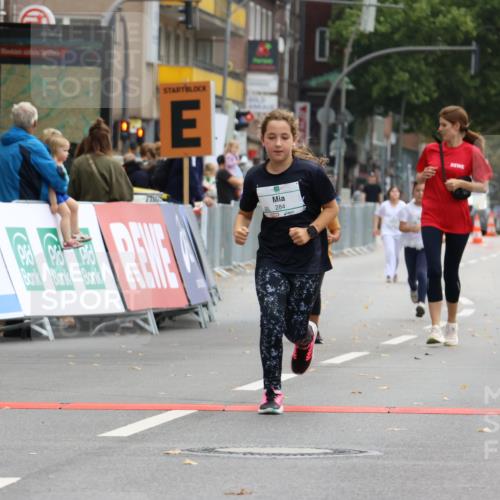 21.09.2025 - PSD Bank Halbmarathon Strokosch-Dieckow http://msf.ph/oto/8943083 21.09.2025 10:35:47 Ziel 284, 290 meine-sportfotos.de
