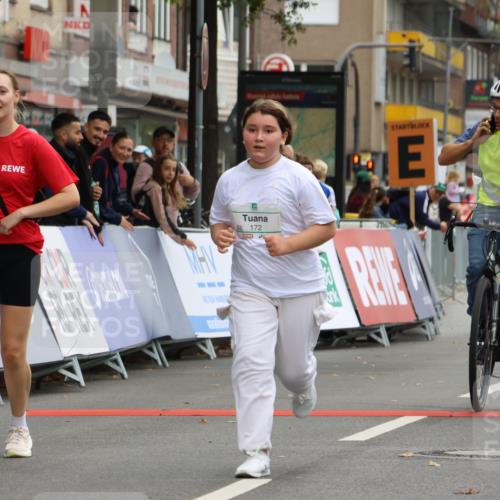 21.09.2025 - PSD Bank Halbmarathon Strokosch-Dieckow http://msf.ph/oto/8943155 21.09.2025 10:37:15 Ziel 172 meine-sportfotos.de