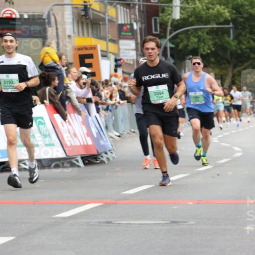 21.09.2025 - PSD Bank Halbmarathon Strokosch-Dieckow http://msf.ph/oto/8944505 21.09.2025 11:47:46 Ziel 1962, 2193, 2276, 2394, 2725 meine-sportfotos.de