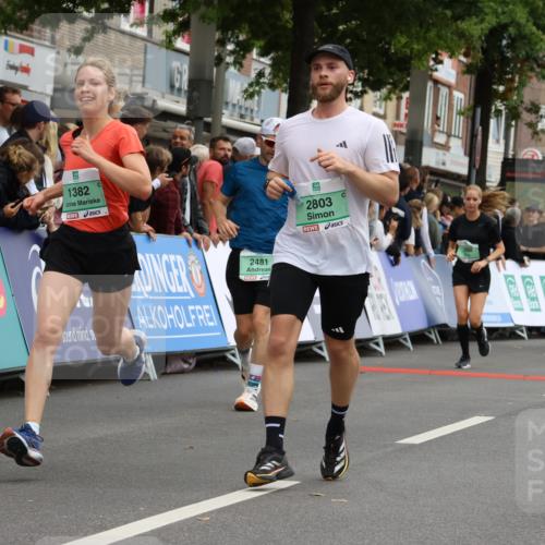 21.09.2025 - PSD Bank Halbmarathon Strokosch-Dieckow http://msf.ph/oto/8945956 21.09.2025 12:00:49 Ziel 1203, 1382, 2388, 2481, 2516, 2668, 2761, 2803, 3168, 3172 meine-sportfotos.de