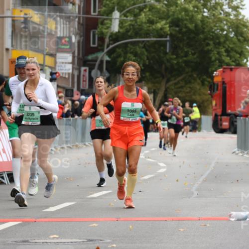 21.09.2025 - PSD Bank Halbmarathon Strokosch-Dieckow http://msf.ph/oto/8947832 21.09.2025 12:28:44 Ziel 1065, 1573, 1597, 3239, 3684 meine-sportfotos.de