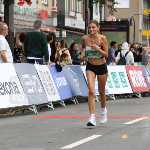 21.09.2025 - PSD Bank Halbmarathon Strokosch-Dieckow http://msf.ph/oto/8948953 21.09.2025 12:51:41 Ziel 1340, 1381, 3891 meine-sportfotos.de