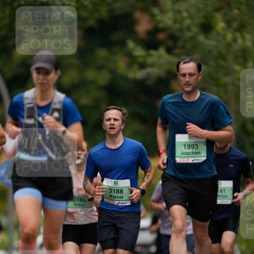 21.09.2025 - PSD Bank Halbmarathon Patografie http://msf.ph/oto/8949131 21.09.2025 10:08:59 Laufen 2155, 3188, 1993, 141 meine-sportfotos.de