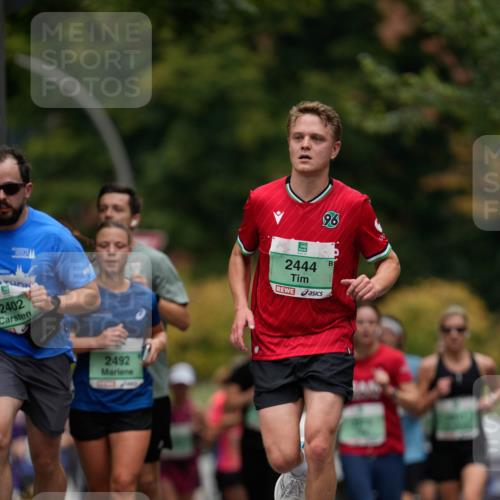 21.09.2025 - PSD Bank Halbmarathon Patografie http://msf.ph/oto/8949322 21.09.2025 10:13:42 Laufen 2402, 2492, 96, 2444 meine-sportfotos.de