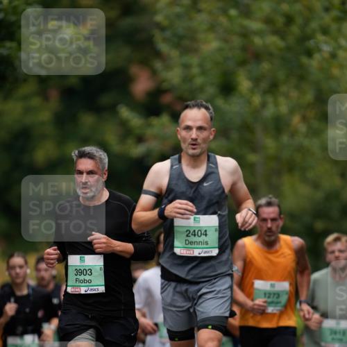 21.09.2025 - PSD Bank Halbmarathon Patografie http://msf.ph/oto/8949334 21.09.2025 10:16:26 Laufen 3903, 2404, 1273 meine-sportfotos.de
