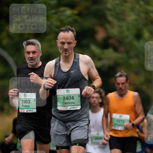 21.09.2025 - PSD Bank Halbmarathon Patografie http://msf.ph/oto/8949335 21.09.2025 10:16:28 Laufen 3903, 2404, 1273 meine-sportfotos.de