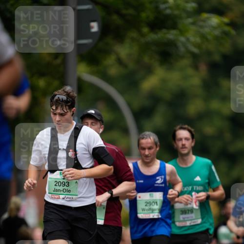 21.09.2025 - PSD Bank Halbmarathon Patografie http://msf.ph/oto/8949349 21.09.2025 10:18:03 Laufen 2093, 2901, 3979 meine-sportfotos.de
