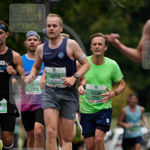 21.09.2025 - PSD Bank Halbmarathon Patografie http://msf.ph/oto/8949405 21.09.2025 09:54:40 Laufen 4019, 1018, 1230 meine-sportfotos.de