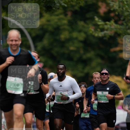 21.09.2025 - PSD Bank Halbmarathon Patografie http://msf.ph/oto/8949665 21.09.2025 10:08:49 Laufen 2303, 163, 23, 1019 meine-sportfotos.de