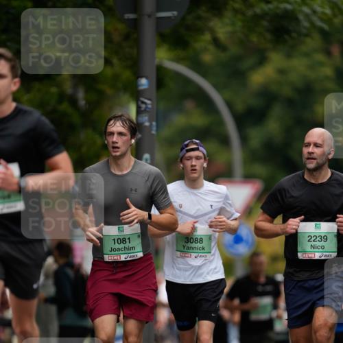 21.09.2025 - PSD Bank Halbmarathon Patografie http://msf.ph/oto/8949681 21.09.2025 10:11:58 Laufen 1081, 3088, 2239 meine-sportfotos.de