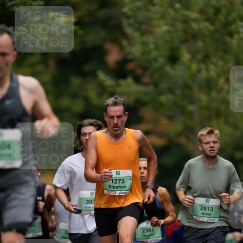 21.09.2025 - PSD Bank Halbmarathon Patografie http://msf.ph/oto/8949711 21.09.2025 10:16:29 Laufen 04, 663, 1273, 393, 2361, 2813 meine-sportfotos.de