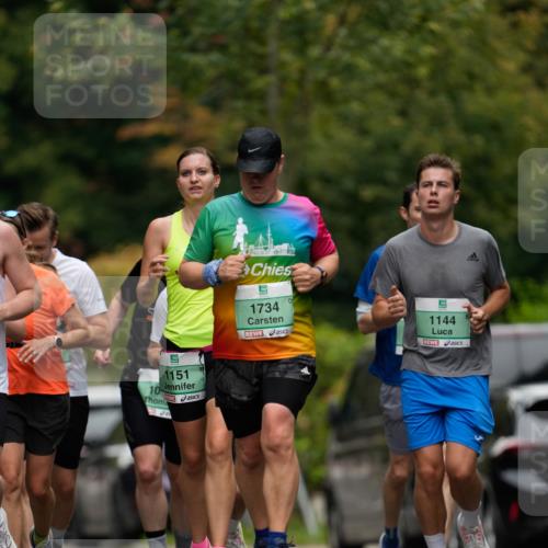 21.09.2025 - PSD Bank Halbmarathon Patografie http://msf.ph/oto/8950112 21.09.2025 10:33:37 Laufen 1151, 10, 1734, 1144 meine-sportfotos.de