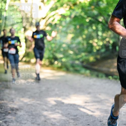 28.09.2025 - 33. Volkslauf durch das schöne Alstertal Dr. Thomas Lammeyer http://msf.ph/oto/8951940 28.09.2025 10:19:43 Laufen 1623 meine-sportfotos.de