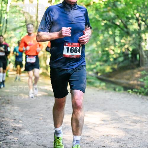 28.09.2025 - 33. Volkslauf durch das schöne Alstertal Dr. Thomas Lammeyer http://msf.ph/oto/8952058 28.09.2025 10:20:03 Laufen 1664 meine-sportfotos.de