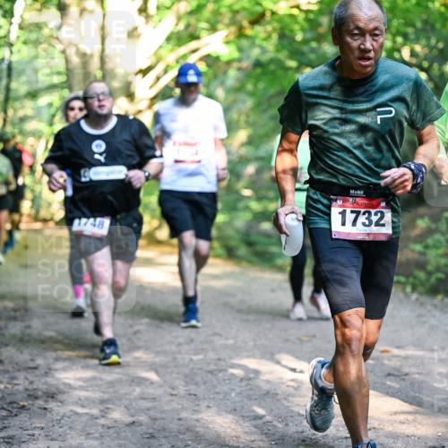 28.09.2025 - 33. Volkslauf durch das schöne Alstertal Dr. Thomas Lammeyer http://msf.ph/oto/8952502 28.09.2025 10:21:42 Laufen 1748, 1732, 17 meine-sportfotos.de