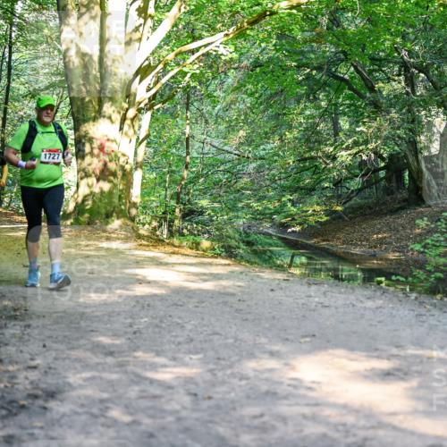 28.09.2025 - 33. Volkslauf durch das schöne Alstertal Dr. Thomas Lammeyer http://msf.ph/oto/8952656 28.09.2025 10:22:20 Laufen 101, 1745, 1740, 1727 meine-sportfotos.de
