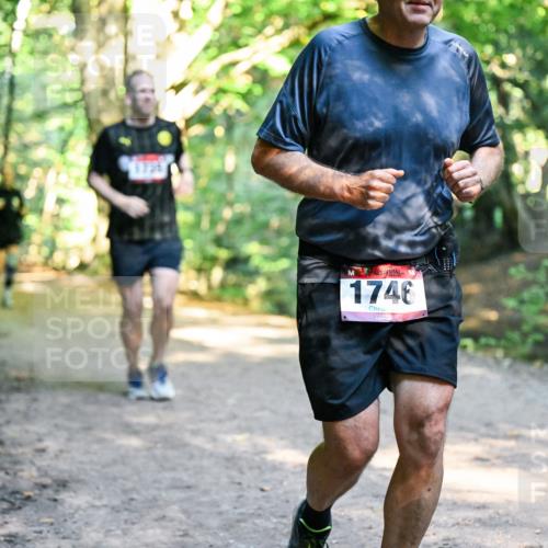 28.09.2025 - 33. Volkslauf durch das schöne Alstertal Dr. Thomas Lammeyer http://msf.ph/oto/8952846 28.09.2025 10:23:23 Laufen 1746 meine-sportfotos.de