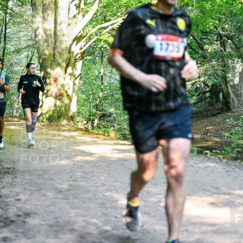 28.09.2025 - 33. Volkslauf durch das schöne Alstertal Dr. Thomas Lammeyer http://msf.ph/oto/8952852 28.09.2025 10:23:25 Laufen 1742, 1735 meine-sportfotos.de