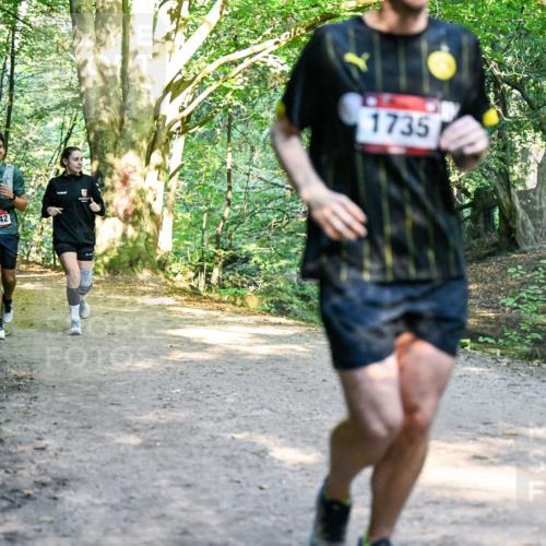 28.09.2025 - 33. Volkslauf durch das schöne Alstertal Dr. Thomas Lammeyer http://msf.ph/oto/8952853 28.09.2025 10:23:25 Laufen 1742, 7, 1735 meine-sportfotos.de
