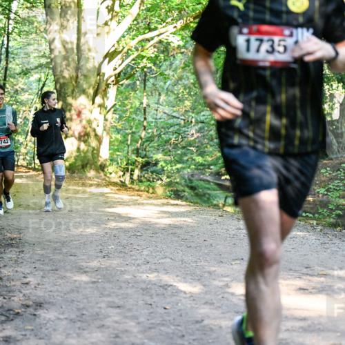28.09.2025 - 33. Volkslauf durch das schöne Alstertal Dr. Thomas Lammeyer http://msf.ph/oto/8952854 28.09.2025 10:23:25 Laufen 1742, 1735 meine-sportfotos.de