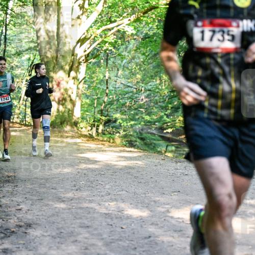 28.09.2025 - 33. Volkslauf durch das schöne Alstertal Dr. Thomas Lammeyer http://msf.ph/oto/8952855 28.09.2025 10:23:25 Laufen 1742, 1735 meine-sportfotos.de