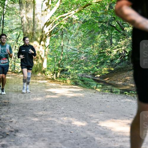 28.09.2025 - 33. Volkslauf durch das schöne Alstertal Dr. Thomas Lammeyer http://msf.ph/oto/8952857 28.09.2025 10:23:26 Laufen 1742 meine-sportfotos.de