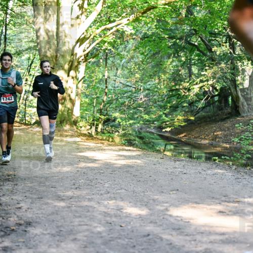 28.09.2025 - 33. Volkslauf durch das schöne Alstertal Dr. Thomas Lammeyer http://msf.ph/oto/8952858 28.09.2025 10:23:26 Laufen 1742 meine-sportfotos.de