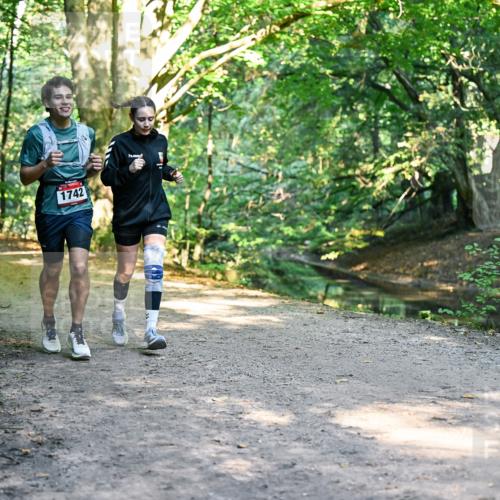 28.09.2025 - 33. Volkslauf durch das schöne Alstertal Dr. Thomas Lammeyer http://msf.ph/oto/8952862 28.09.2025 10:23:27 Laufen 1742 meine-sportfotos.de