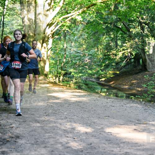 28.09.2025 - 33. Volkslauf durch das schöne Alstertal Dr. Thomas Lammeyer http://msf.ph/oto/8952879 28.09.2025 10:23:40 Laufen 743, 12, 1100 meine-sportfotos.de