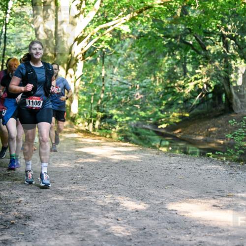 28.09.2025 - 33. Volkslauf durch das schöne Alstertal Dr. Thomas Lammeyer http://msf.ph/oto/8952881 28.09.2025 10:23:40 Laufen 743, 1100 meine-sportfotos.de