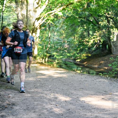 28.09.2025 - 33. Volkslauf durch das schöne Alstertal Dr. Thomas Lammeyer http://msf.ph/oto/8952882 28.09.2025 10:23:40 Laufen 1100 meine-sportfotos.de