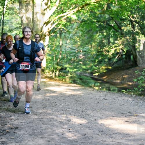 28.09.2025 - 33. Volkslauf durch das schöne Alstertal Dr. Thomas Lammeyer http://msf.ph/oto/8952883 28.09.2025 10:23:40 Laufen 1100 meine-sportfotos.de