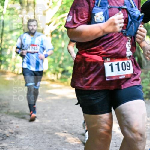 28.09.2025 - 33. Volkslauf durch das schöne Alstertal Dr. Thomas Lammeyer http://msf.ph/oto/8952908 28.09.2025 10:23:44 Laufen 1109, 173 meine-sportfotos.de