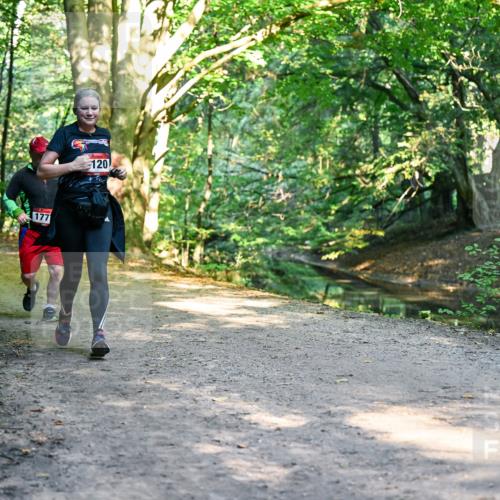 28.09.2025 - 33. Volkslauf durch das schöne Alstertal Dr. Thomas Lammeyer http://msf.ph/oto/8952918 28.09.2025 10:24:00 Laufen 177, 120 meine-sportfotos.de