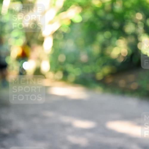 28.09.2025 - 33. Volkslauf durch das schöne Alstertal Dr. Thomas Lammeyer http://msf.ph/oto/8952975 28.09.2025 10:24:20 Laufen  meine-sportfotos.de