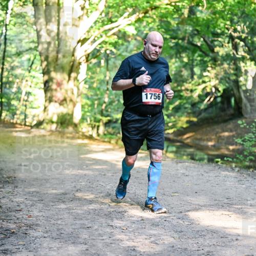 28.09.2025 - 33. Volkslauf durch das schöne Alstertal Dr. Thomas Lammeyer http://msf.ph/oto/8952998 28.09.2025 10:24:37 Laufen 1756 meine-sportfotos.de