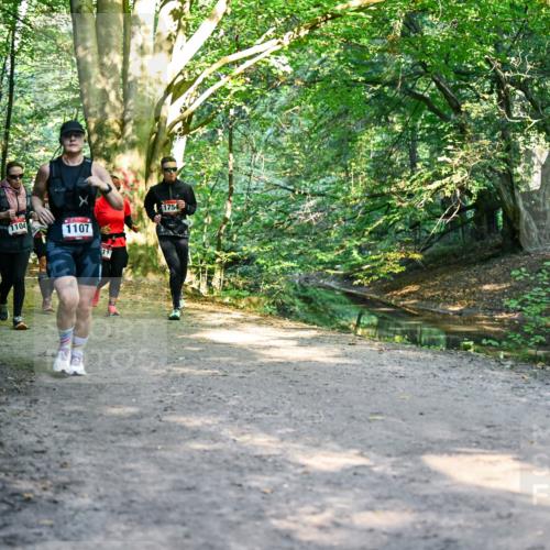 28.09.2025 - 33. Volkslauf durch das schöne Alstertal Dr. Thomas Lammeyer http://msf.ph/oto/8953005 28.09.2025 10:25:13 Laufen 1114, 1104, 1107, 1754 meine-sportfotos.de