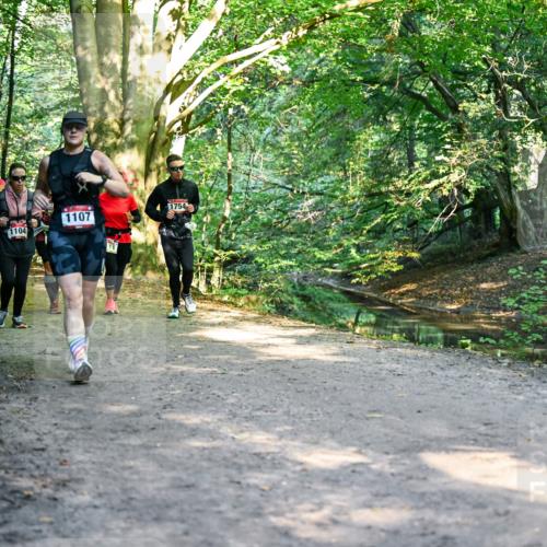 28.09.2025 - 33. Volkslauf durch das schöne Alstertal Dr. Thomas Lammeyer http://msf.ph/oto/8953006 28.09.2025 10:25:13 Laufen 11, 1114, 1104, 1754, 1107 meine-sportfotos.de