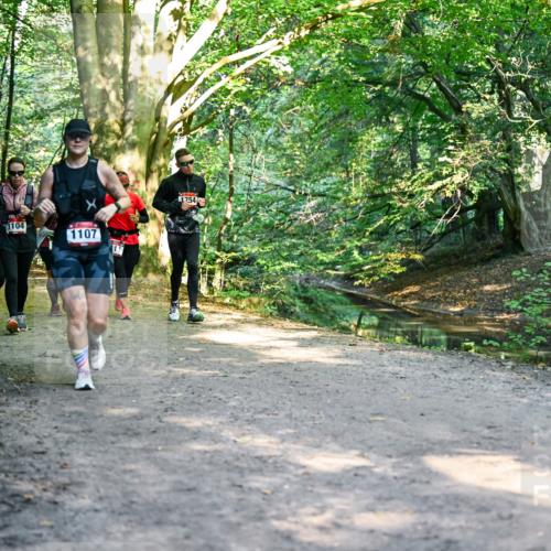 28.09.2025 - 33. Volkslauf durch das schöne Alstertal Dr. Thomas Lammeyer http://msf.ph/oto/8953007 28.09.2025 10:25:14 Laufen 111, 1104, 1754, 1107 meine-sportfotos.de