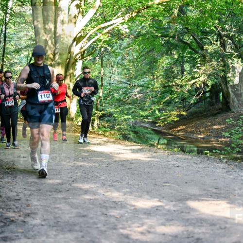 28.09.2025 - 33. Volkslauf durch das schöne Alstertal Dr. Thomas Lammeyer http://msf.ph/oto/8953009 28.09.2025 10:25:14 Laufen 1104, 1107, 11, 1754 meine-sportfotos.de